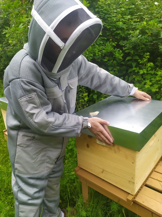 Désinsectiseur - Professionnel agréé - Récupération essaim abeille