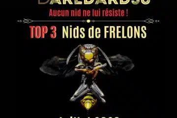 destruction de nids de frelons par expert
